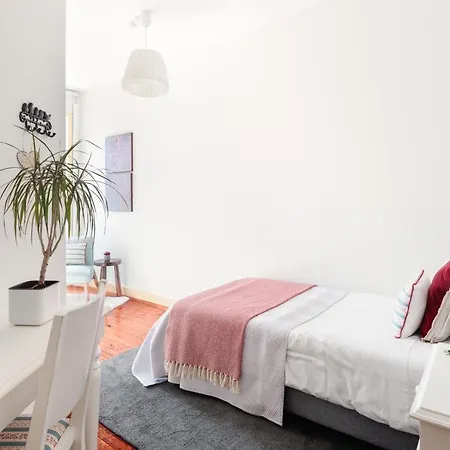 Apartment Sao Miguel